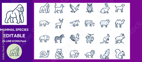  Wild fauna and domestic mammals outline vector.
