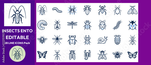 Wild insects and crawlers outline vector pack.