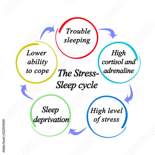 Components of The Stress-Sleep Cycle