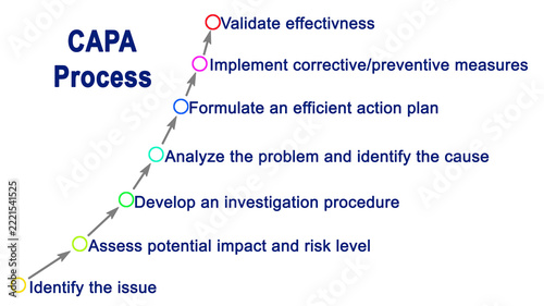 CAPA Process
