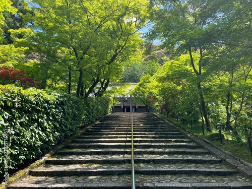 Eikando (Zenrinji Temple) in Kyoto, Japan