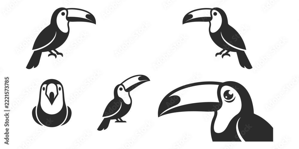 Fototapeta premium Set of black and white toucan bird illustrations in various poses and angles for graphic design