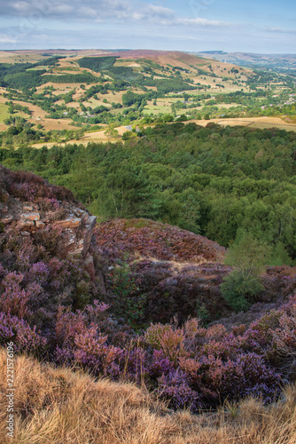Stunning Peak District landscape from Surprise View with vibrant heather and dappled sunlight over the hills