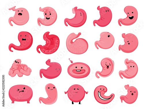 Cute kawaii stomach characters, pink digestive system organs cartoon set for health education