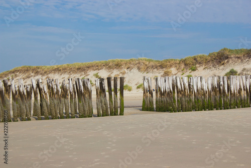 Wave breaker made of wooden stakes on the beach, Haamstede, Netherlands