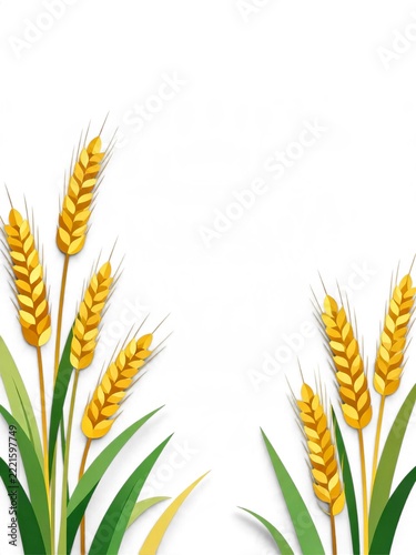 wheat ears on white background
