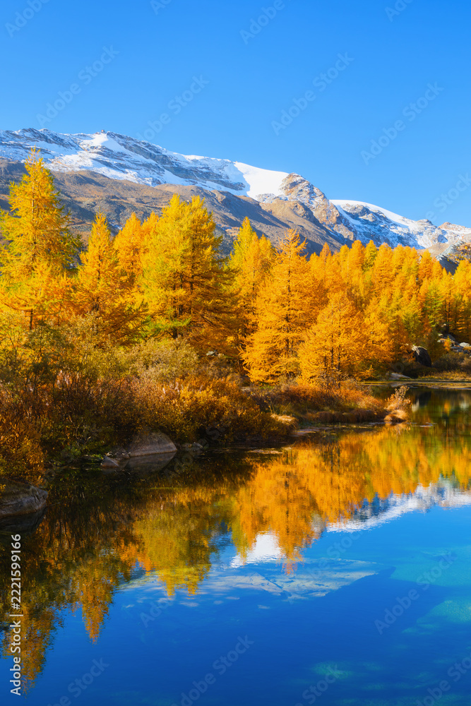 Fototapeta premium Vertical photo. Mountain landscape with a calm lake reflecting autumn trees with colorful fall foliage. Clear daytime view of water reflection, forest, and mountain peaks.