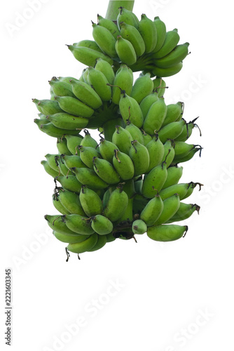 Fresh green organic bananas group png.file background 