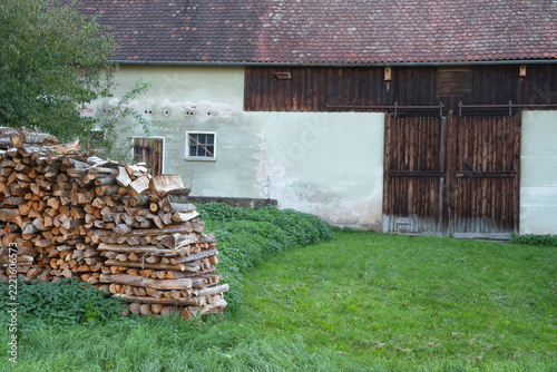 Neatly Stacked Firewood in the Forest Ready for Winter.