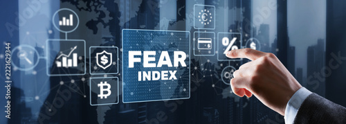 Fear Index for Financial Market Sentiment Analysis and Investment Risk Management
