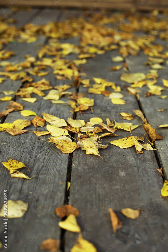 Fototapeta premium Golden Autumn Leaves Scattered on Rustic Wooden Pathway