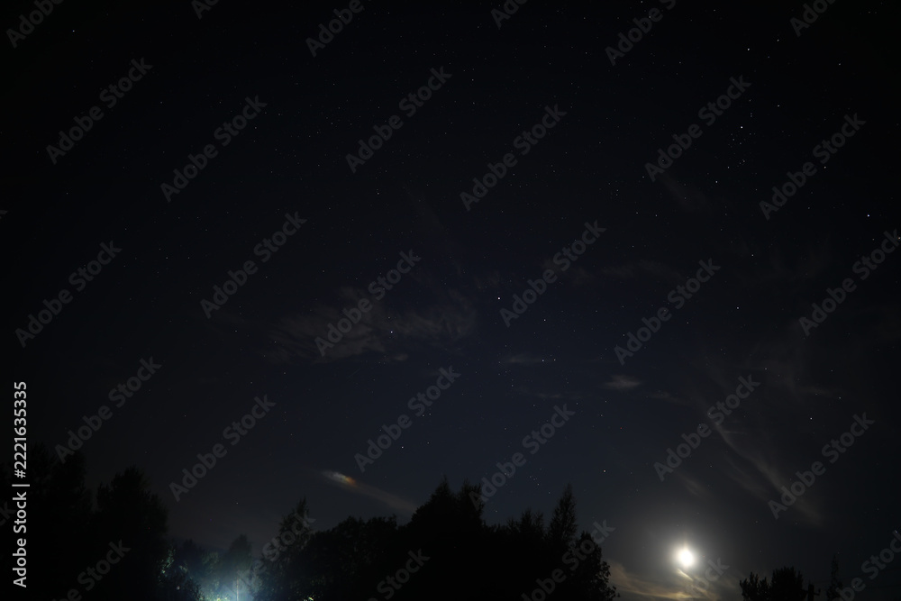 Fototapeta premium Moonlit Night Sky Capturing Stars and Silhouetted Trees Under a Starry Cosmos