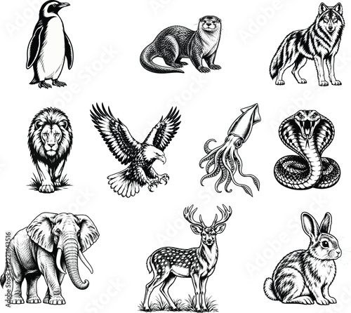 Wildlife Engraving Vector Bundle – 10 Detailed Black and White Animal Illustrations, Vintage Woodland and Ocean Creatures. Generative ai