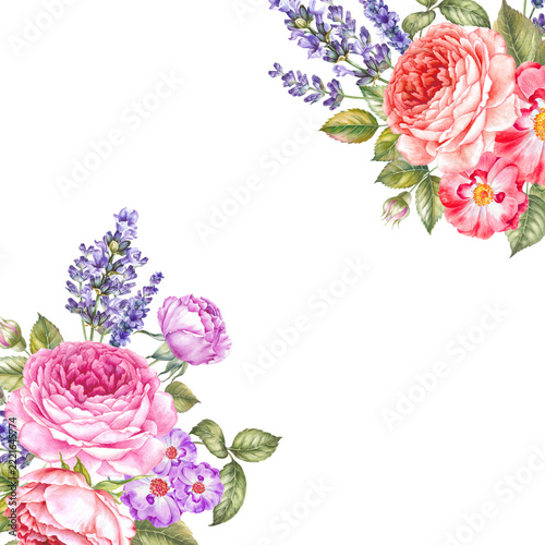 Watercolour Botanical illustration.