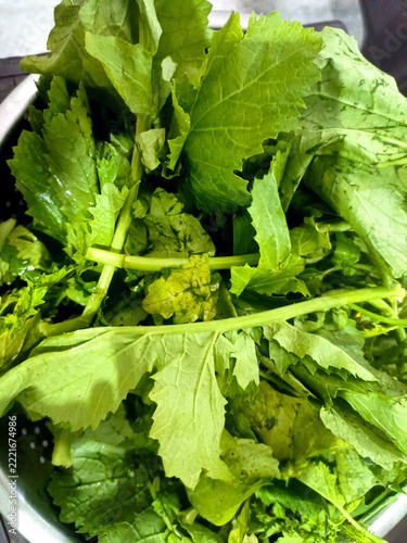 Fresh Raw Green Mustard Leaves in Colander for Cooking