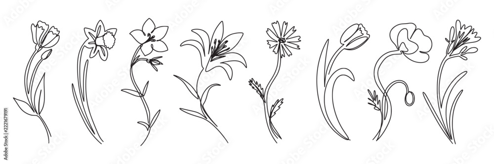 Fototapeta premium Minimal flowers. Line floral rose, linear spring iris or thin outline modern art icons. Leaf decoration contour. Black outline blooming meadow plants, stems and leaves, vector illustration