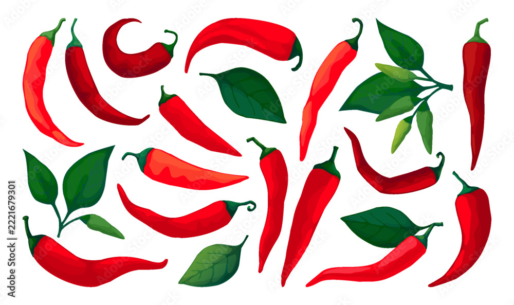 Fototapeta premium Chili pepper. Red spicy mexican icon, paprika symbol shape or fresh vegetable chile cook. Hand drawn spicy vegetables with green leaves. Vector cartoon flat isolated illustration