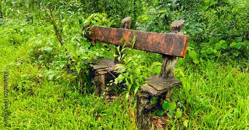 Old weathered concrete bench overgrown with green wild plants and grass in outdoor garden park