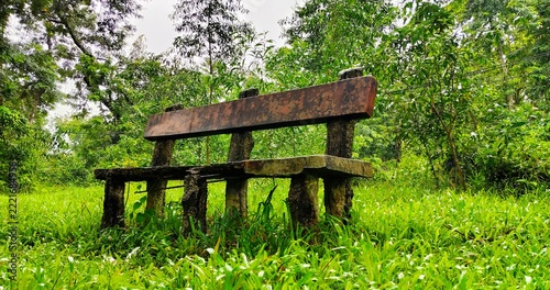 Old concrete cement bench standing on green grassy lawn in peaceful outdoor park surrounded by trees
