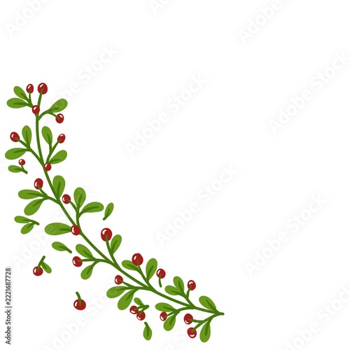 Hand drawn Christmas holly berry branch bottom left corner frame isolated on transparent background