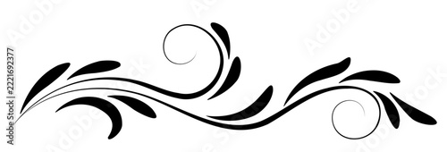 Floral ornament. Text divider.