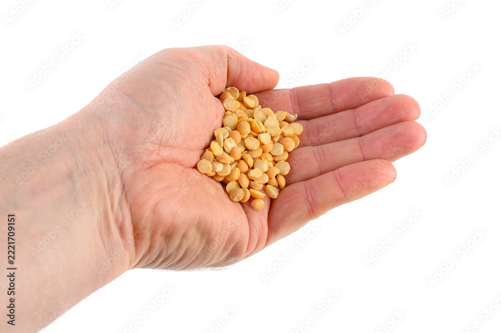 Fototapeta premium Hand holding a portion of dried yellow split peas over a white surface