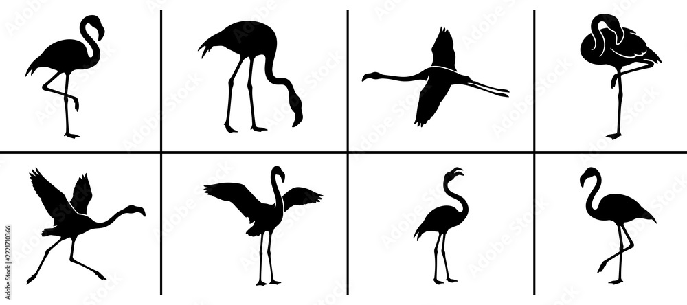 Fototapeta premium Flamingo silhouettes set with birds in various poses, flying and standing for wildlife design