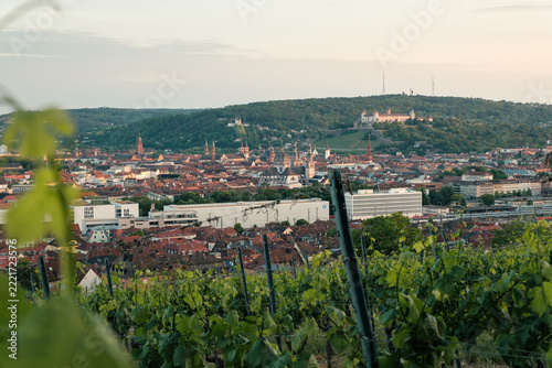 View from a vineyard to the old town of the German city Würzburg with the Marienberg Fortress in the background.