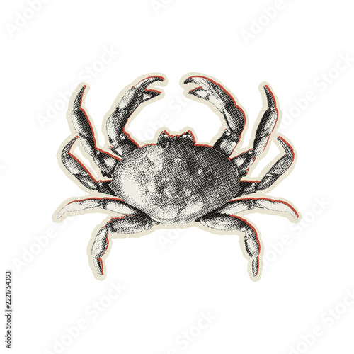 Detailed vintage style of a crab isolated on a solid black background, for marine biology, or decorative projects
