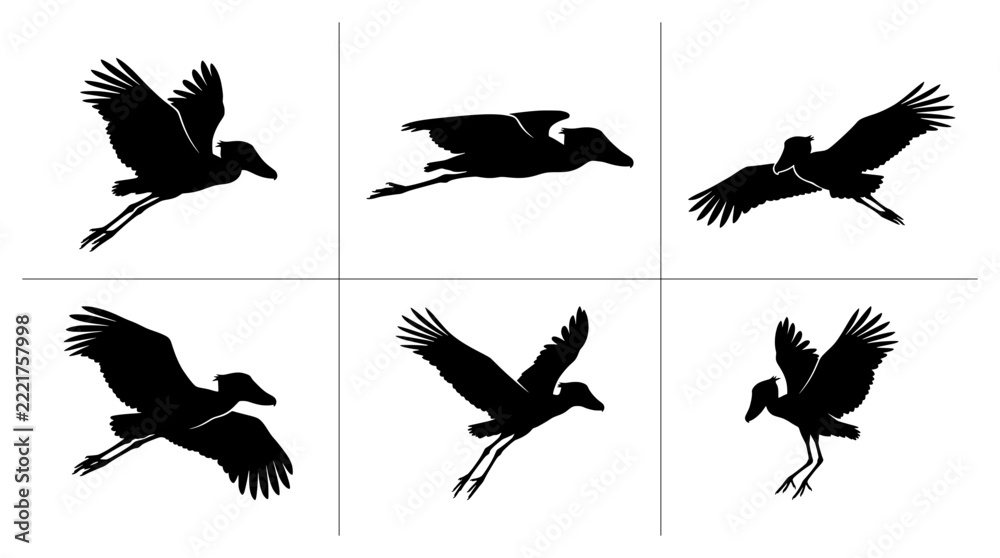 Fototapeta premium Shoebill silhouettes set in flight and landing poses for wildlife or ornithology design