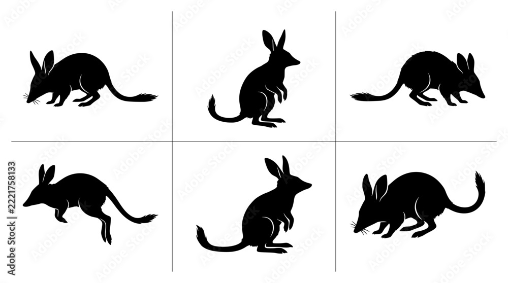Fototapeta premium Bilby silhouettes set with figures in various poses for Australian wildlife design