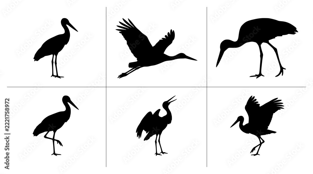 Fototapeta premium Stork silhouettes set with birds in flight, standing and foraging for logo and print