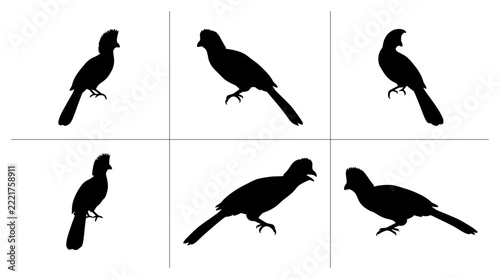 Turaco bird silhouettes set with crested heads and varied poses for wildlife logos and icons