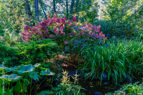 Pink Fall Flowers