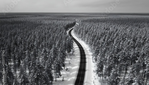 Winding dirt road through tall grassy field