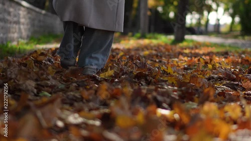 Woman walking on autumn fallen leaves in park low angle view