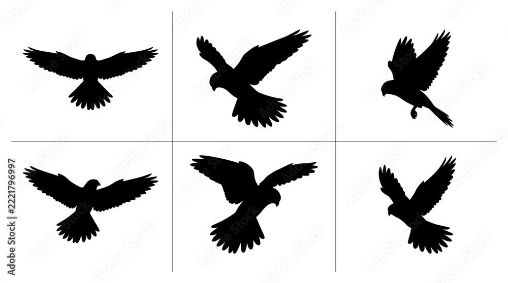 Fototapeta premium Bird silhouettes set with kestrel in flight poses for logo and print