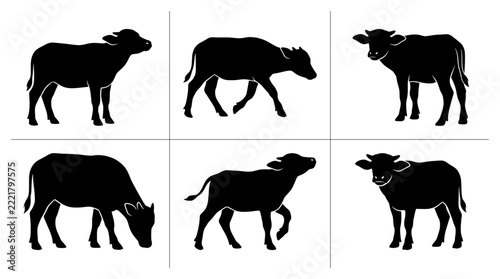 Water buffalo calf silhouettes set with figures grazing, walking and standing for farm or nature logos