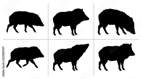 Javelina silhouettes set with animals in various poses for wildlife or nature themes