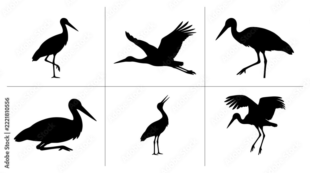 Fototapeta premium Stork silhouettes set with birds in flight, standing and sitting poses for nature design