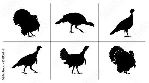 Turkey silhouettes set with birds in various poses for Thanksgiving and nature themes
