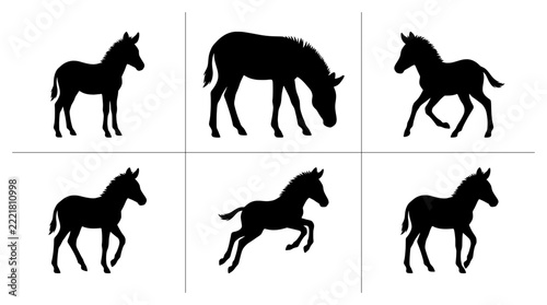Zebra foal silhouettes set with standing, grazing, walking and jumping poses for wildlife and animal logos
