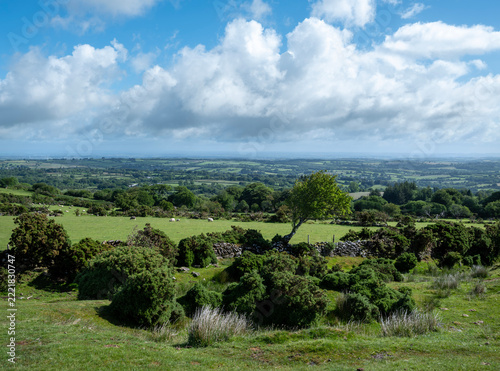 beautiful meadow landscape with fields and trees in dartmoor national park