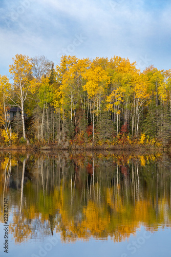autumn trees reflected in water