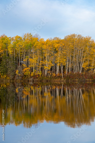 autumn trees reflected in water