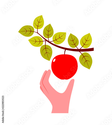 Flat vector illustration of human hand reaching out to harvest ripe red apple hanging from tree branch with green leaves. Clean minimalist design isolated on white background.