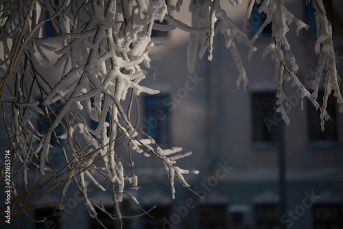 winter close-up tree branches covered in white hoarfrost and tiny icicles in low sunlight, with a blurred old building behind. Cold blue tones, shallow depth of field, high resolution photo