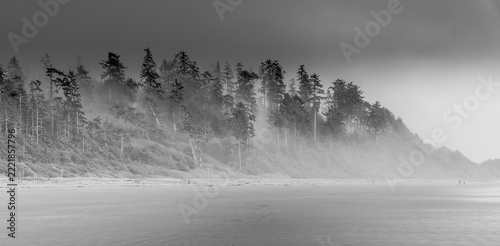 misty morning in the fog