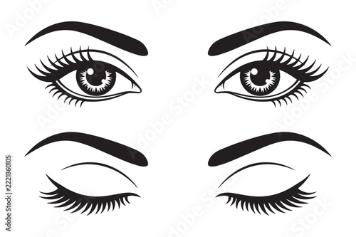 Open and Closed Female Eyes with Eyebrows Vector Illustration