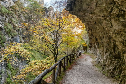 Autumn hiking path along Ruta del Alba gorge in Asturias, Spain